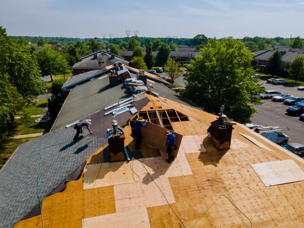 Best Metal Roofing Contractor  in Trenton, GA