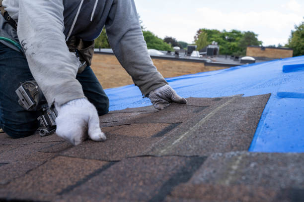 Best Roof Replacement Cost  in Trenton, GA