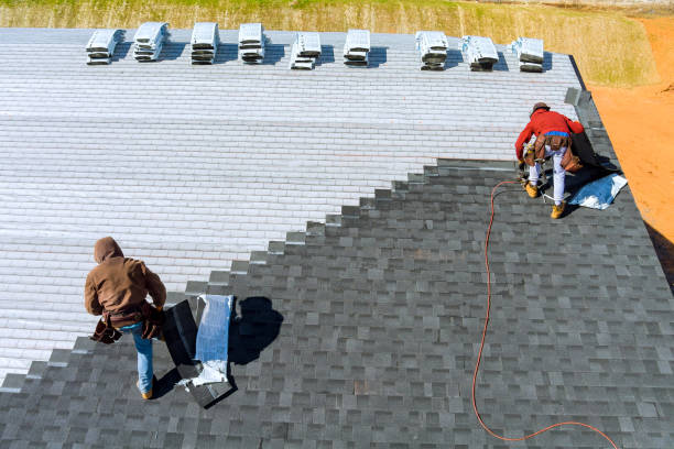 Best Best Roofing Contractors  in Trenton, GA