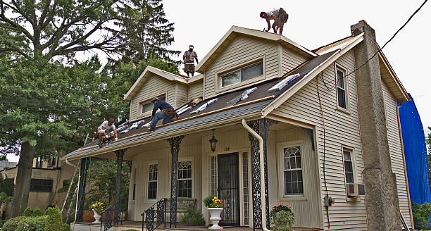 Best Residential Roof Replacement  in Trenton, GA