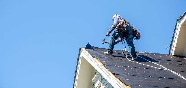 Best Storm Damage Roof Repair  in Trenton, GA